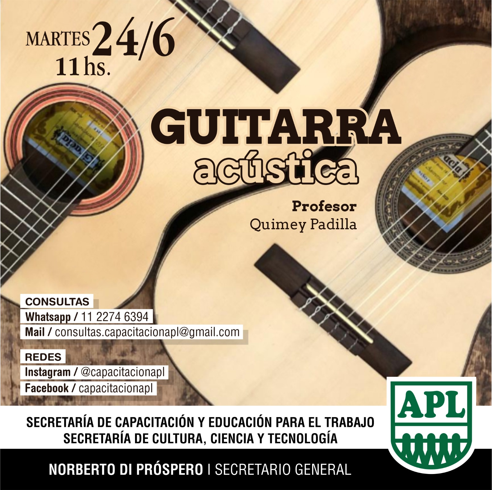 GUITARRA ACUSTICA